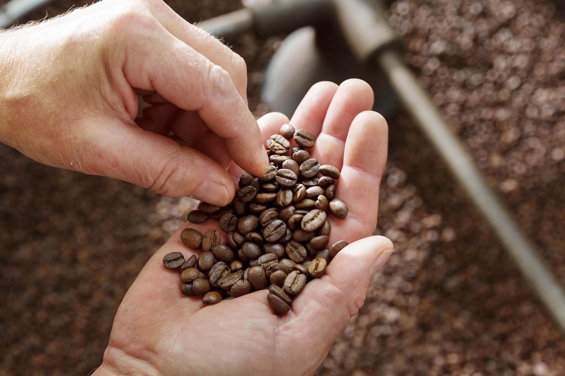 Beste koffie voor in de horeca