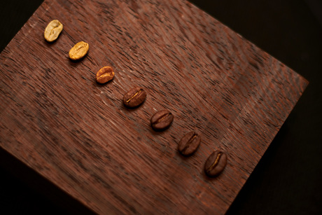 Arabica vs. Robusta koffiebonen: dít zijn de verschillen (en zo kies je welke koffieboon het beste bij jou past)